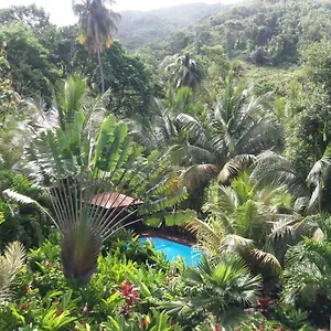 Ti Plèn Kréol , Pointe-Noire Guadeloupe